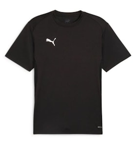 Puma TeamGOAL Jersey