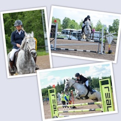 3 bilder