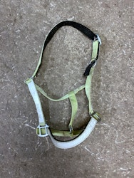 Grimma reflex, full