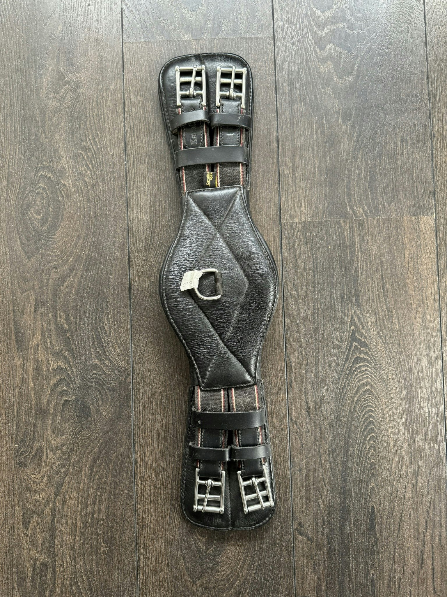 Sadelgjord Kavalkade, 50 cm