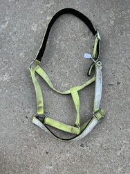 Grimma reflex, full