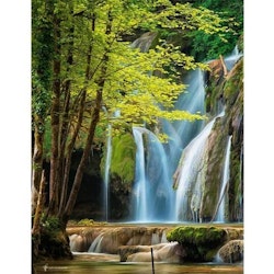 Forest waterfall 40*50