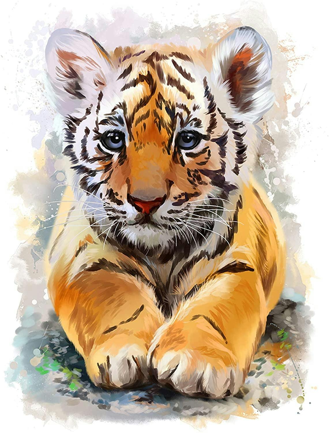 Tiger 40*50
