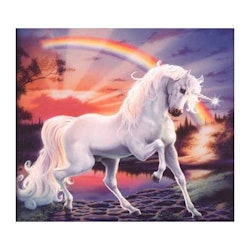 Unicorn rainbow 50*60