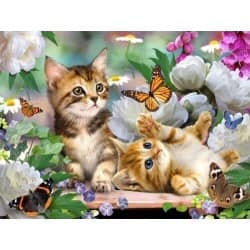 Cute cats 40*50,