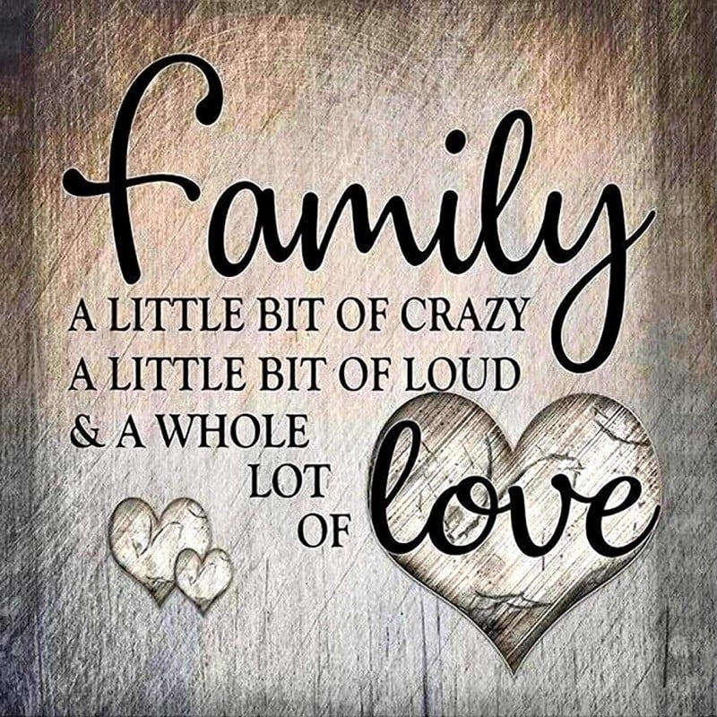 Family Love 30*40