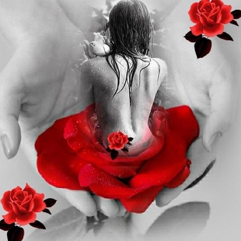 Naked  women an red roses 50*50