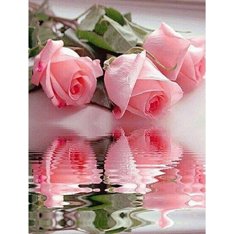 Pink roses 50*60