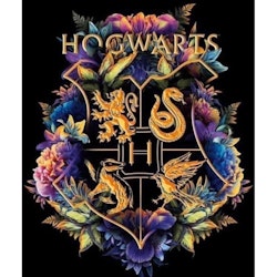 Hogwarts 40*50,
