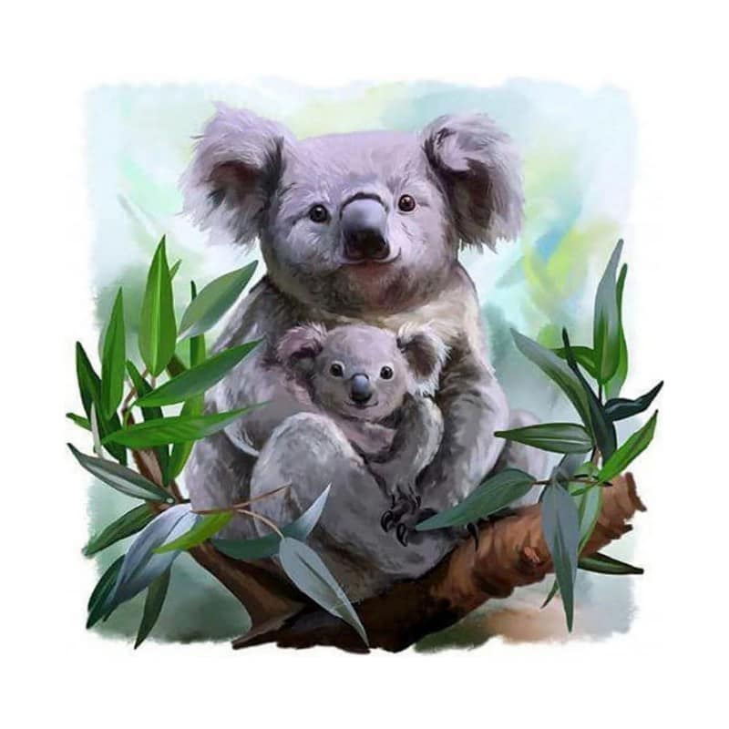 Koala 40*40