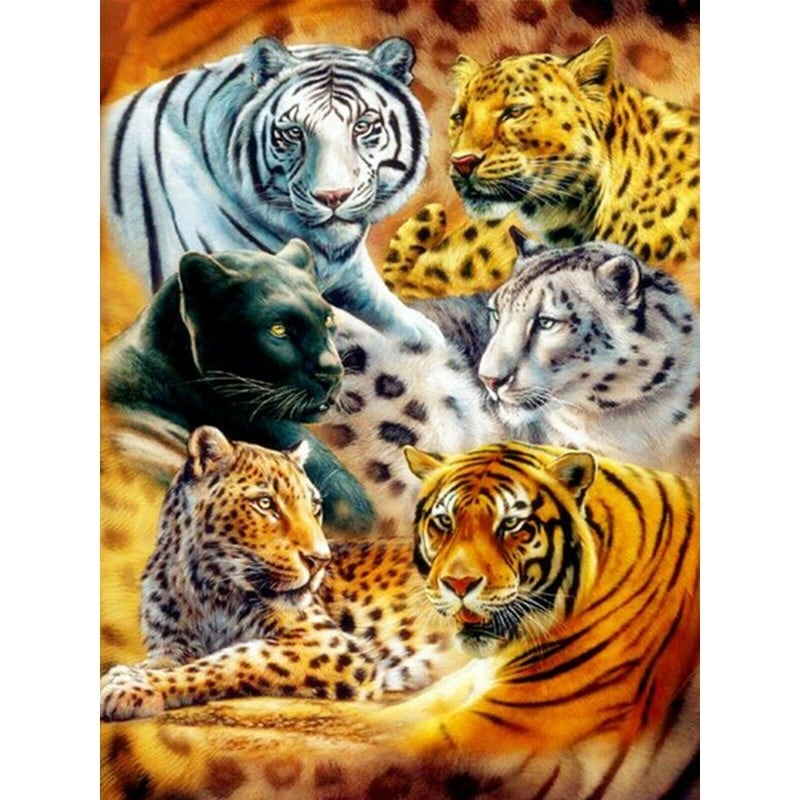 Tiger animal 40*60.