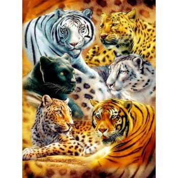 Tiger animal 40*60.