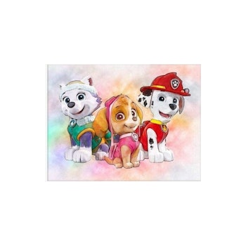 Paw patrol 40*50