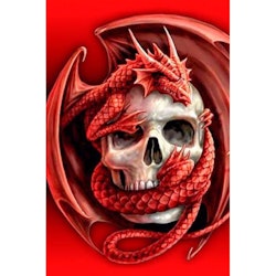 Red dragon and skull 40*50