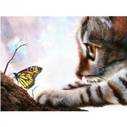 Cat catching butterfly 40*50