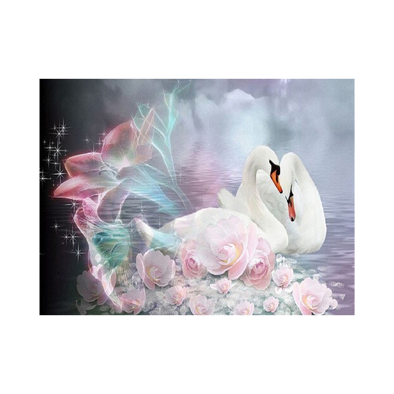 Swan 40*50