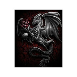 Dragon 30*40