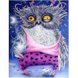 Owl tired 30*40