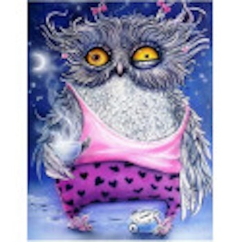 Owl tired 30*40