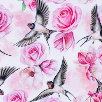 Rose Birds Swallow