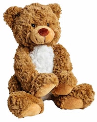 Nalle Floppy