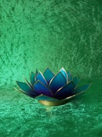 Blå/Lila Lotus för värmeljus