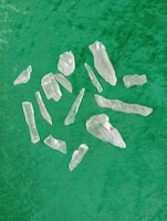 Lemurian Roots (Code of Freedom)