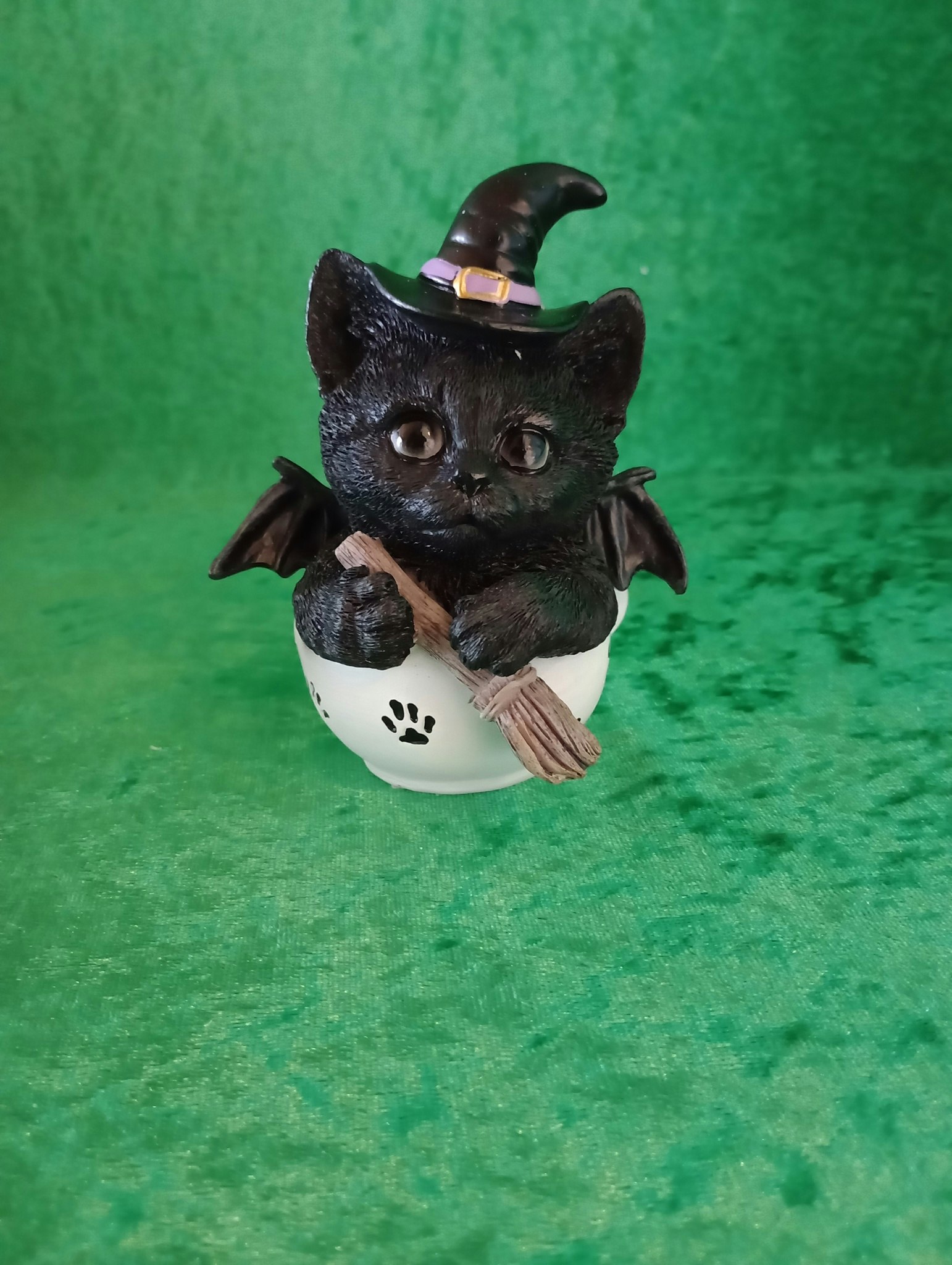 Katt i Kopp