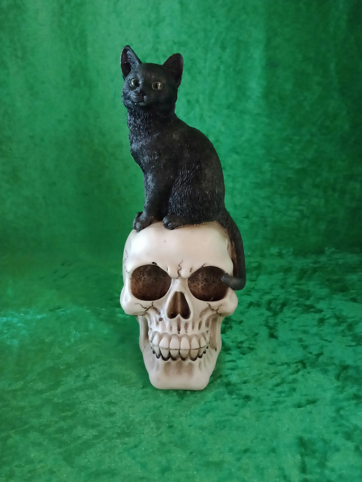 Dödskalle med katt