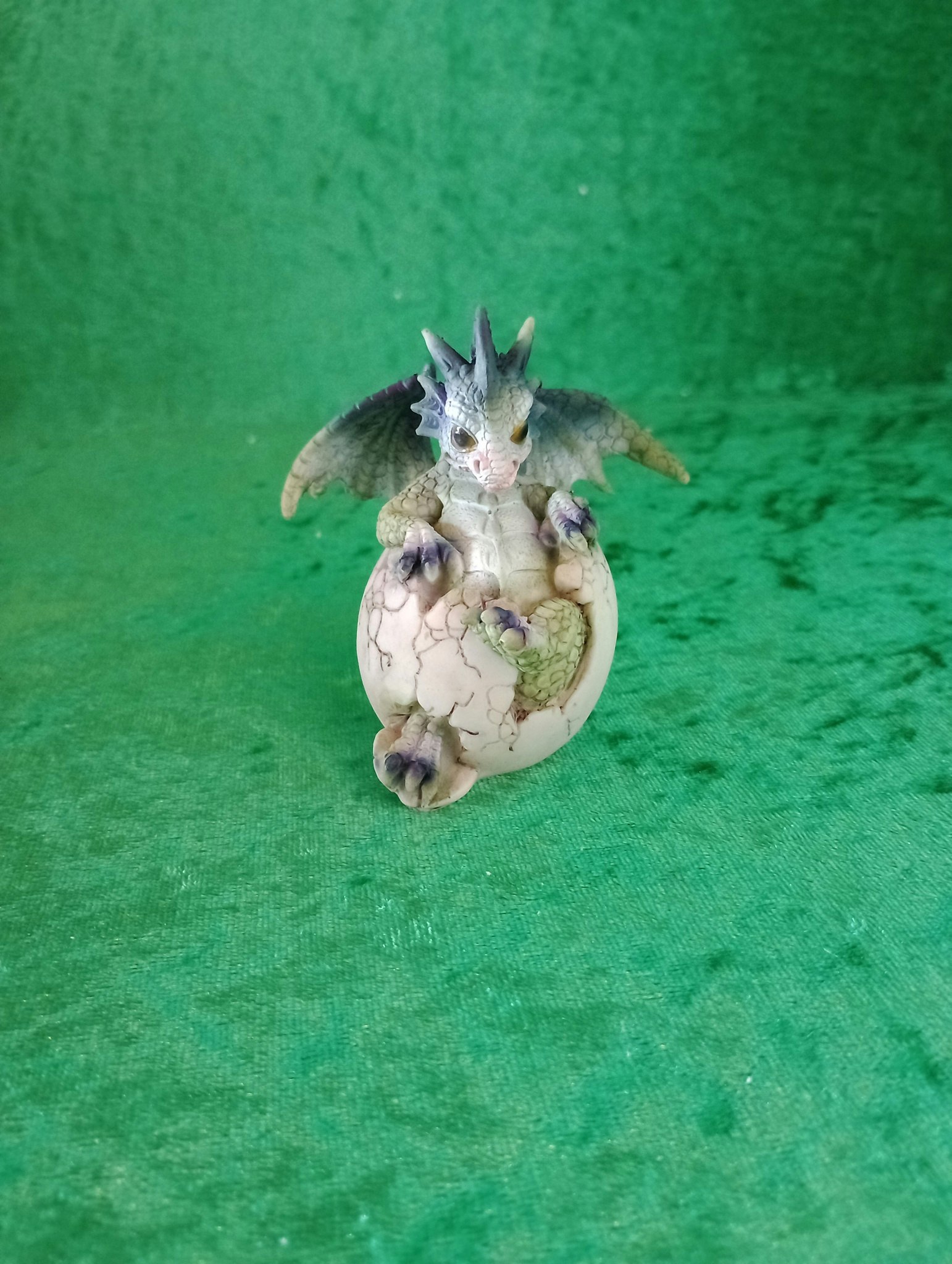 Kläckande Drake B