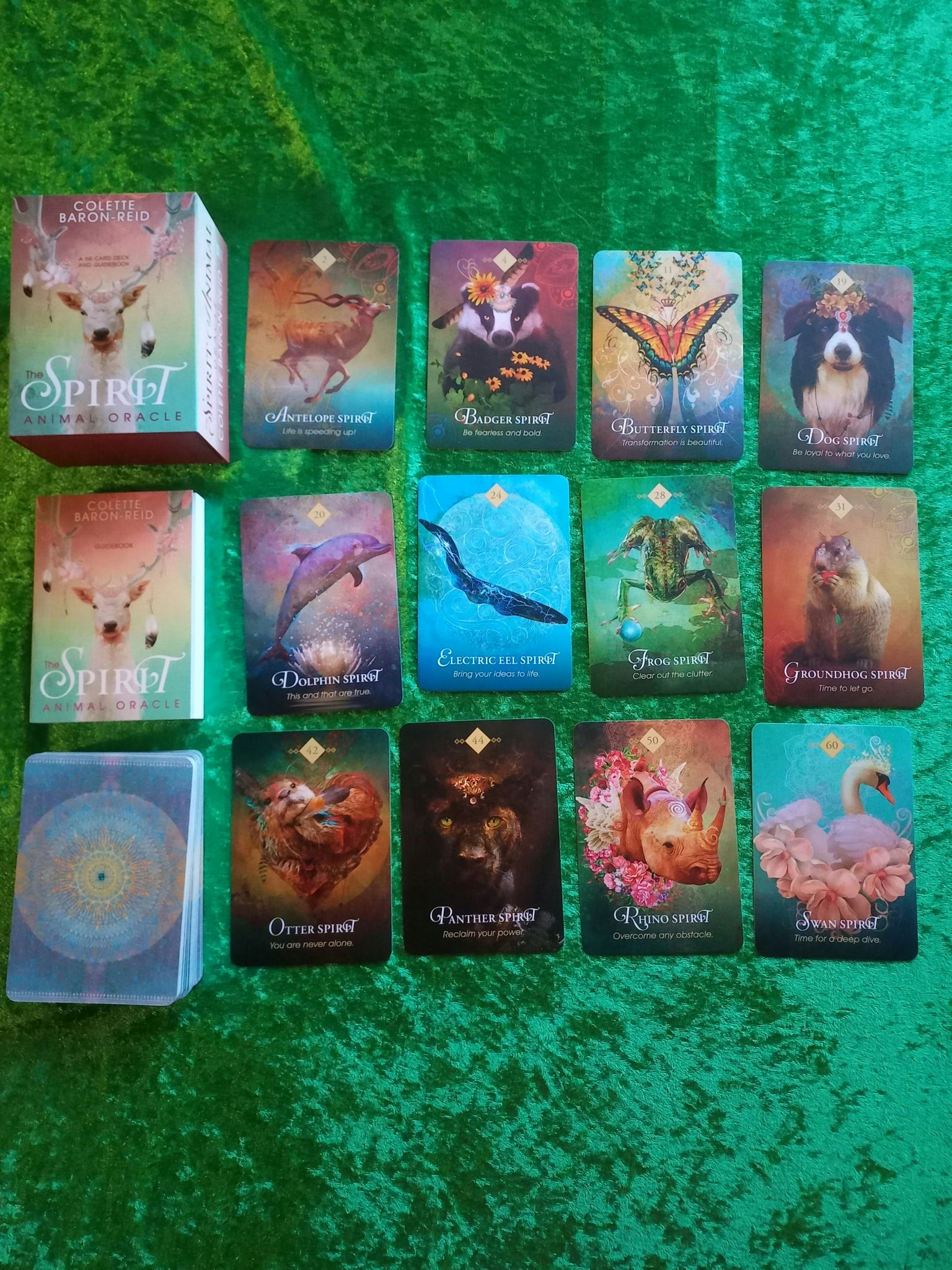 The Spirit Animal Oracle