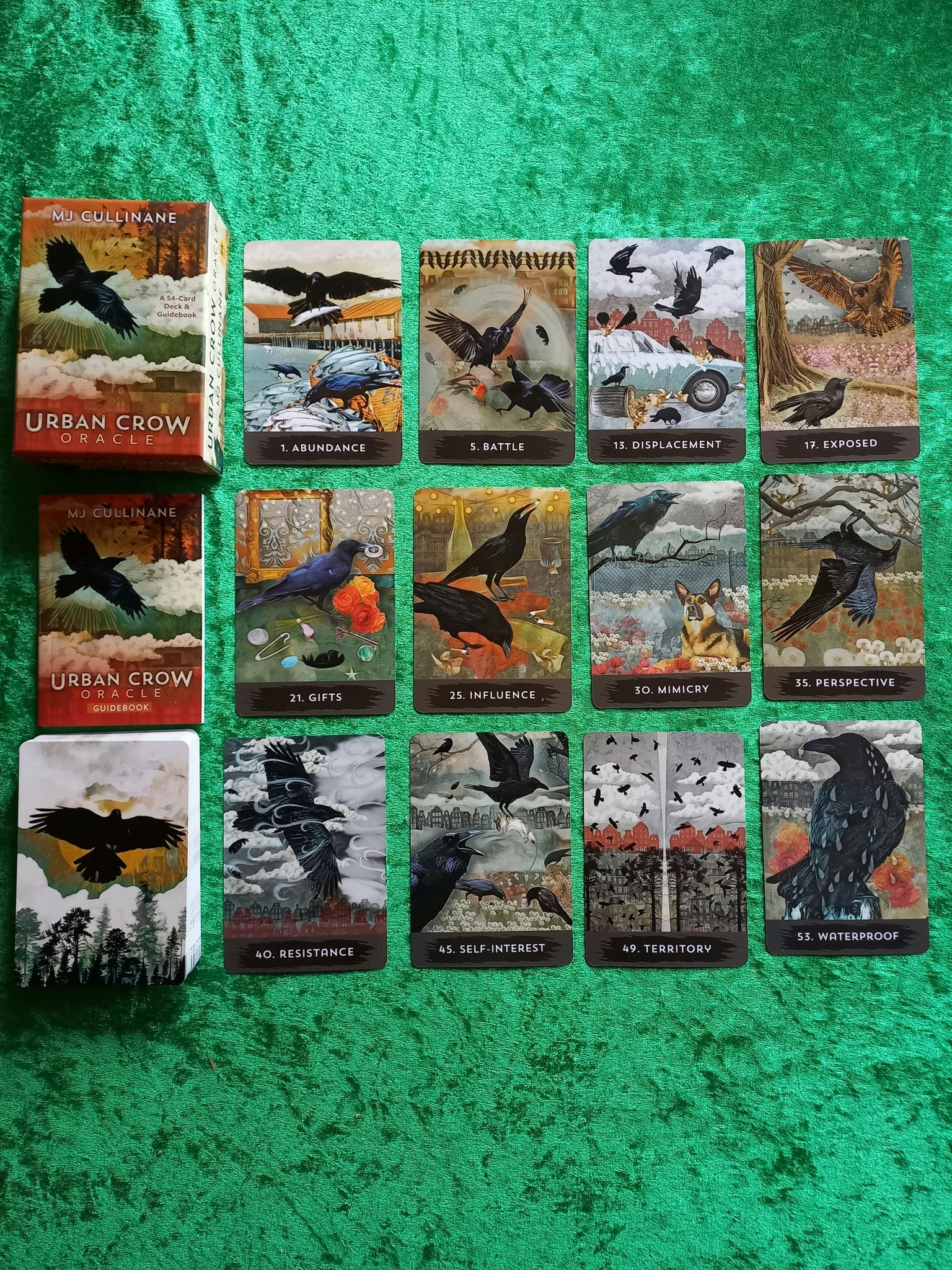 Urban Crow Oracle