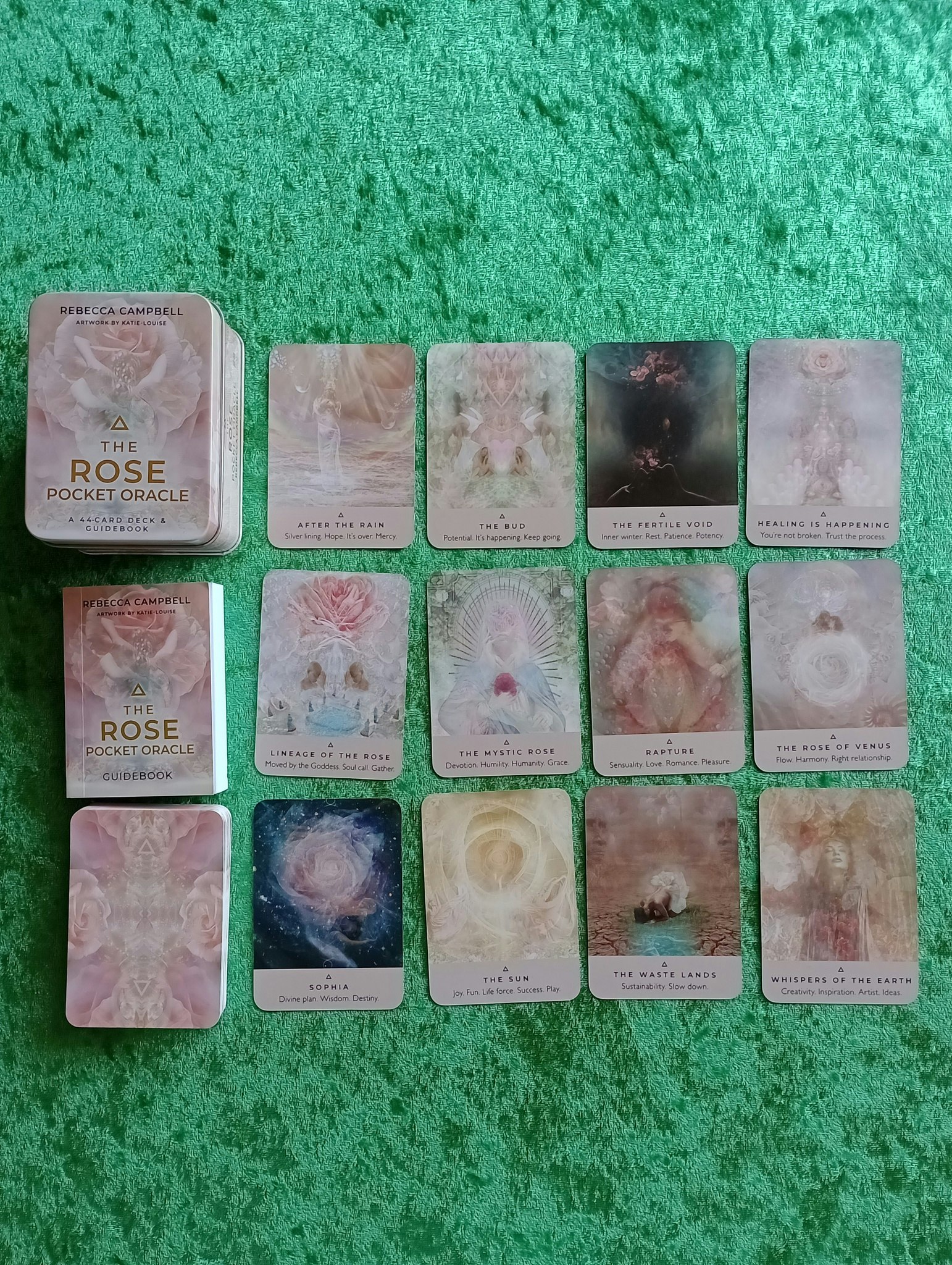The Rose Pocket