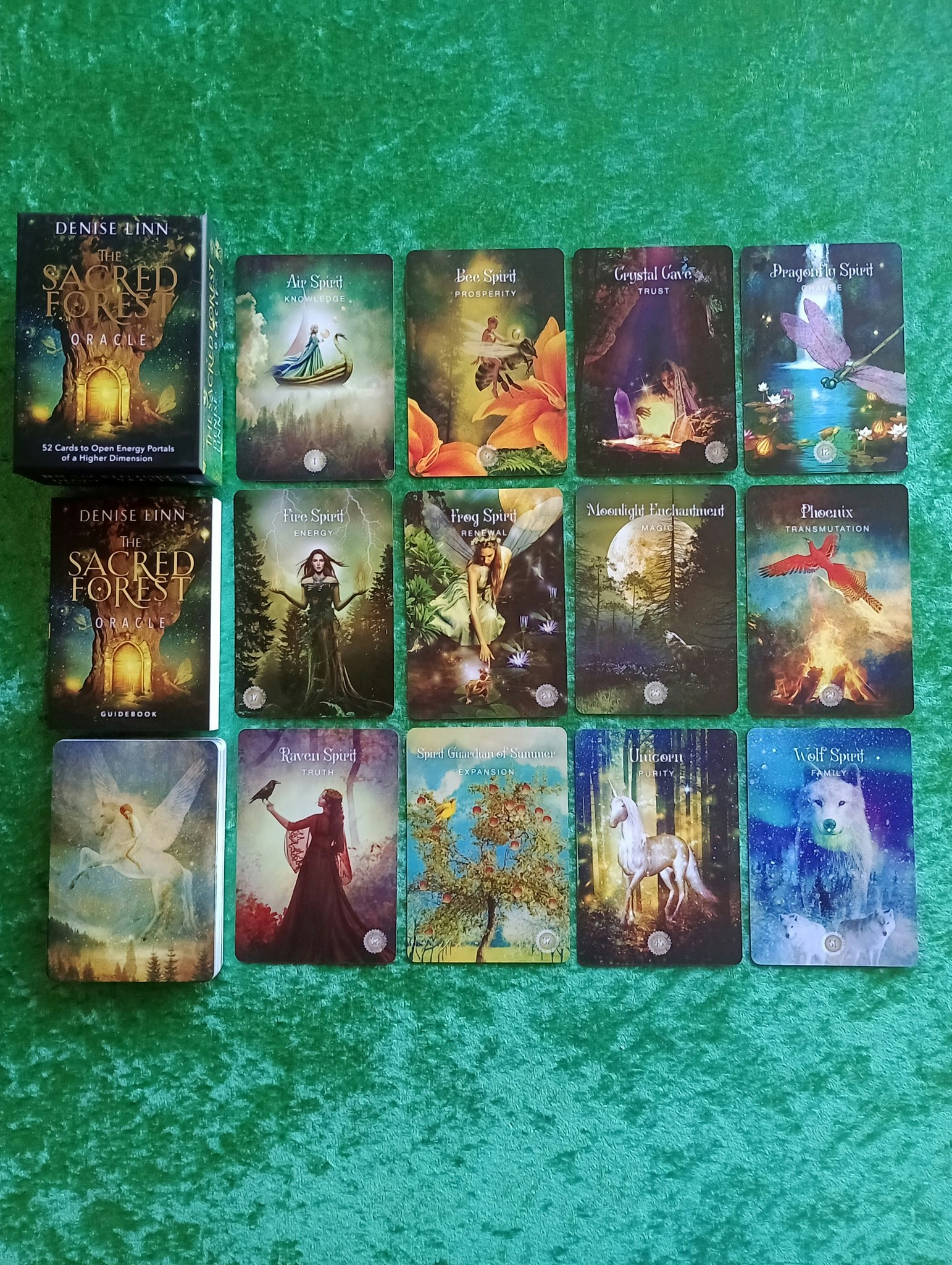 The Sacred Forest Oracle
