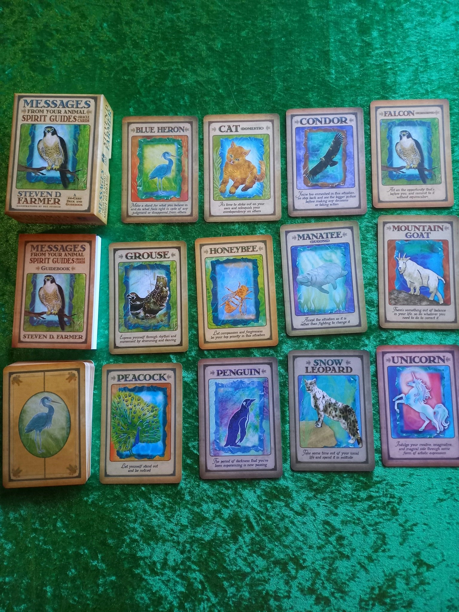Messages from Your Animal Spirit Guides Oracle