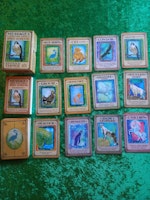 Messages from Your Animal Spirit Guides Oracle