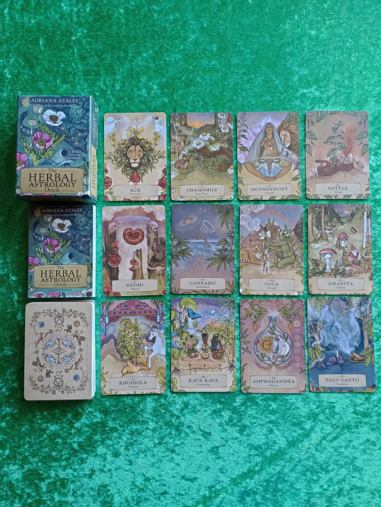 The Herbal Astrology Oracle