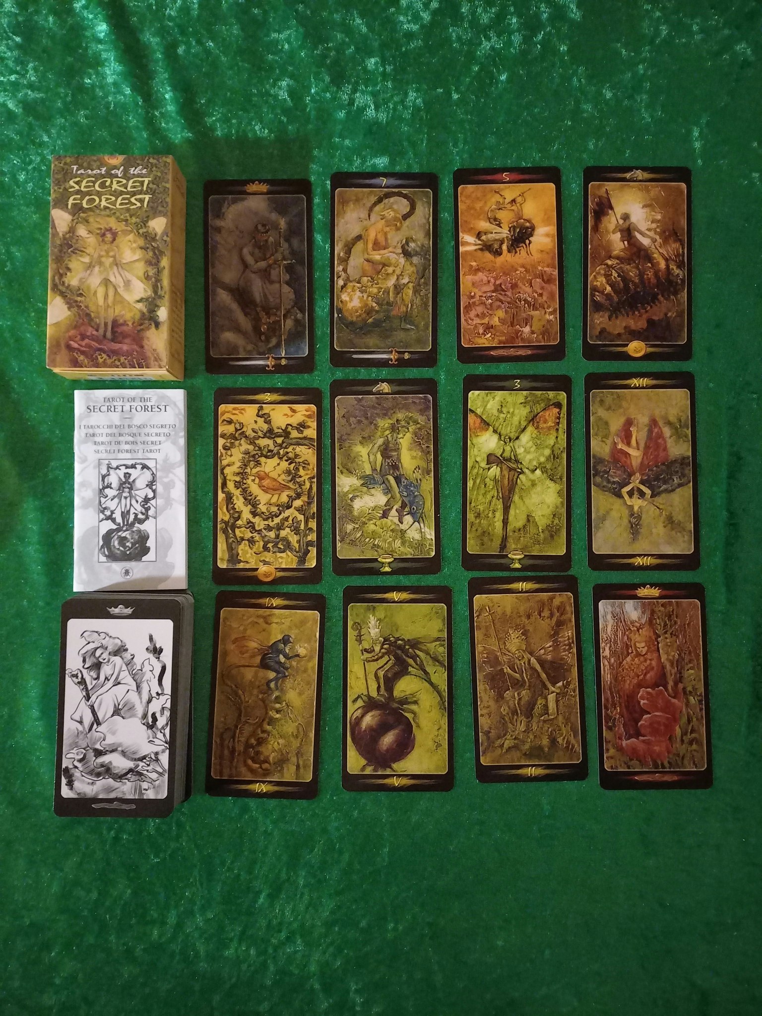 Tarot of the Secret Forest