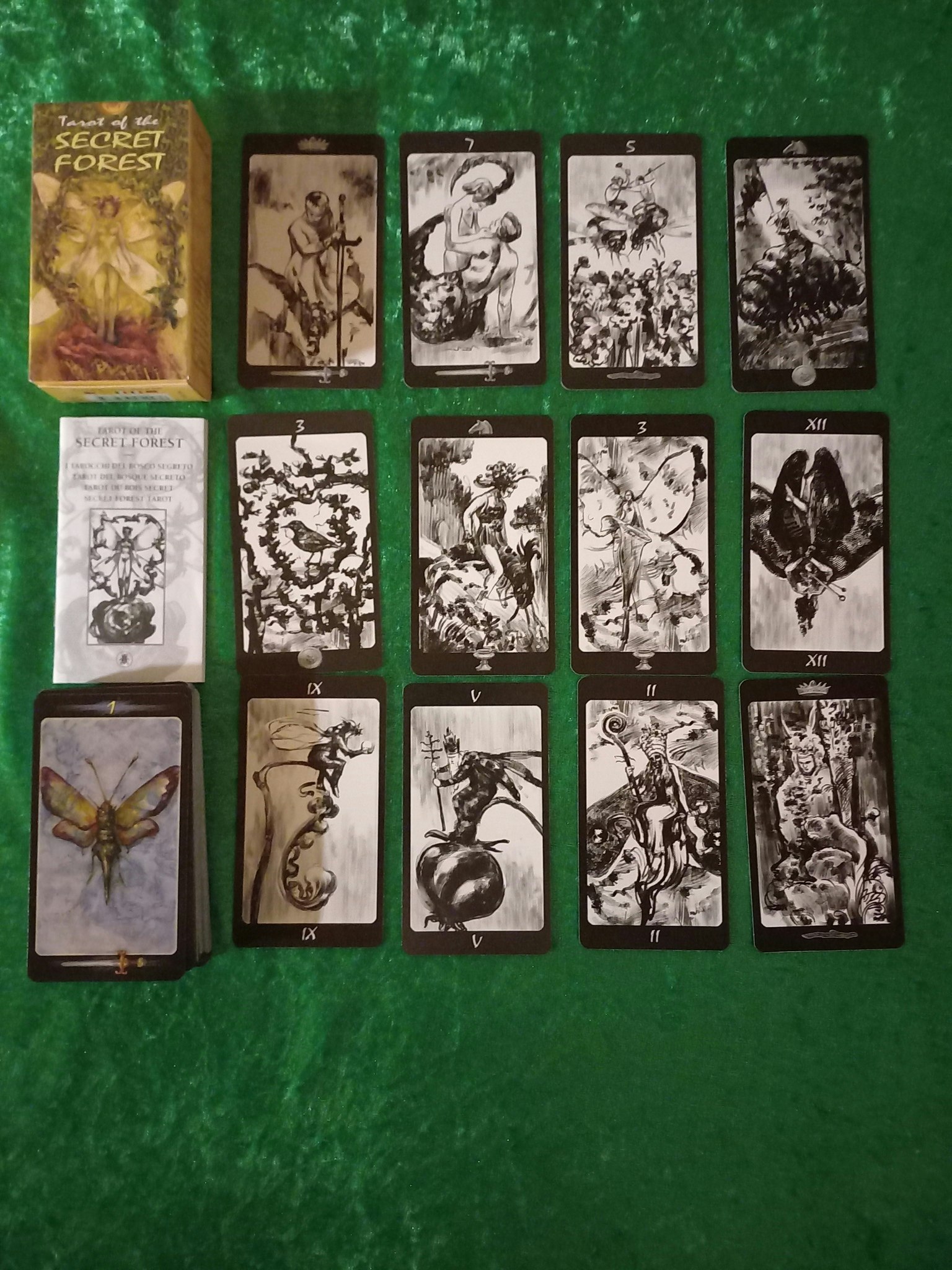 Tarot of the Secret Forest