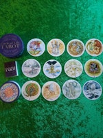 Circle of Life Tarot