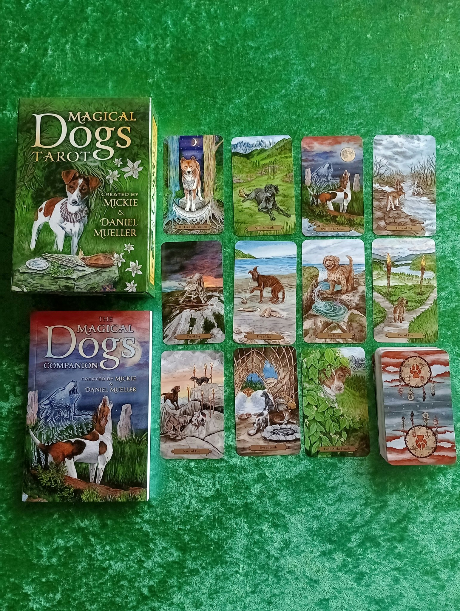 Magical Dogs Tarot Box