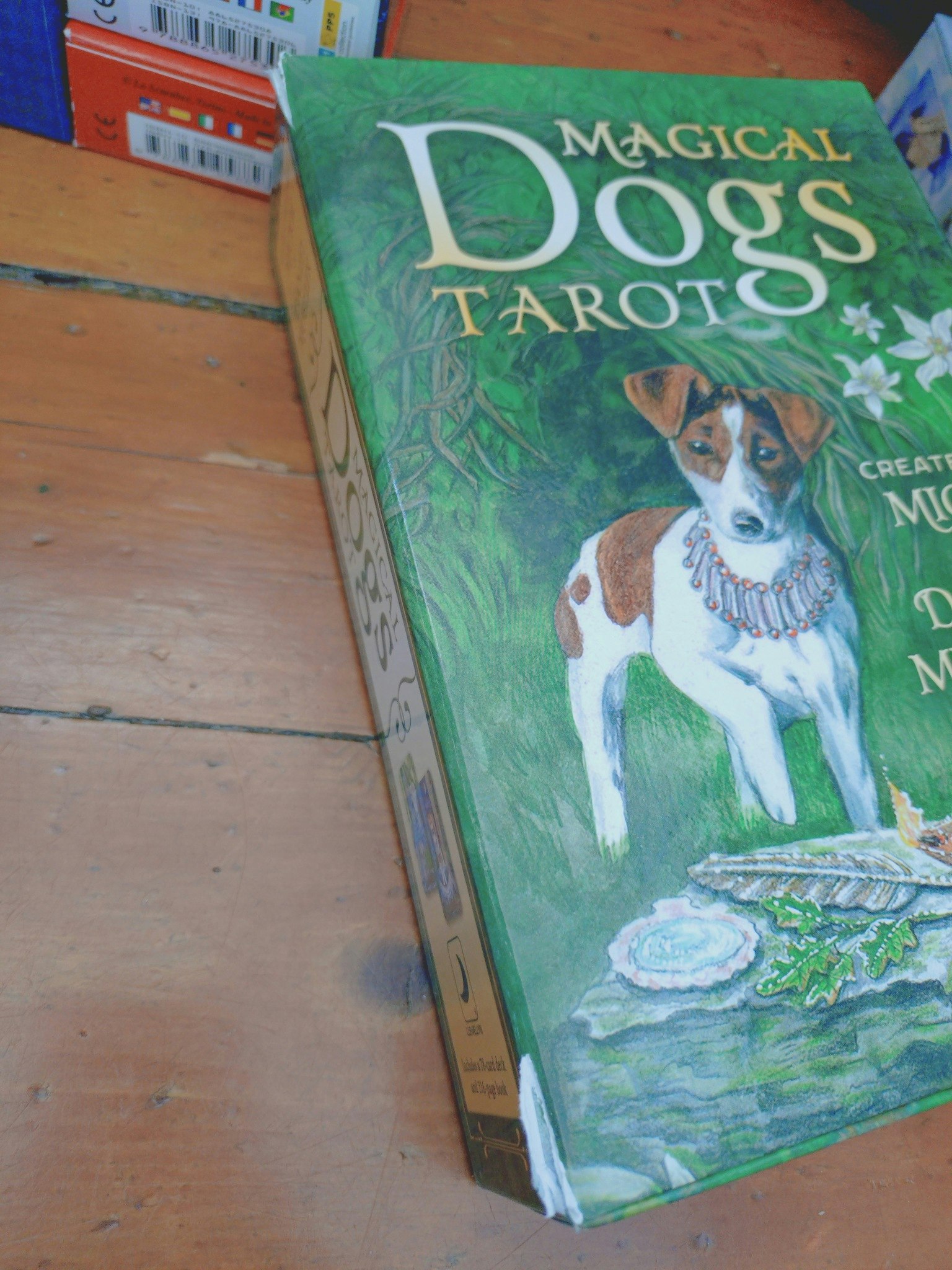 Magical Dogs Tarot Box