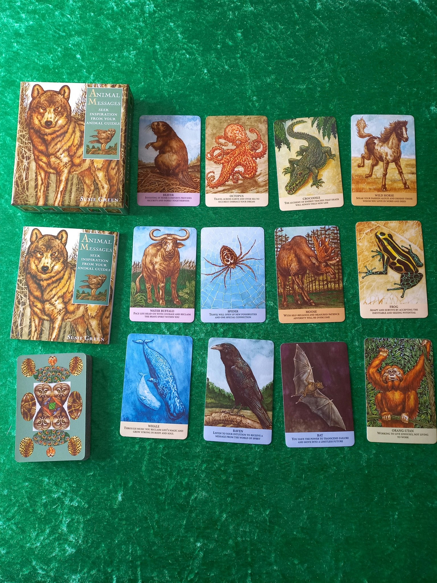 Animal Messages seek inspiration from your animal guides