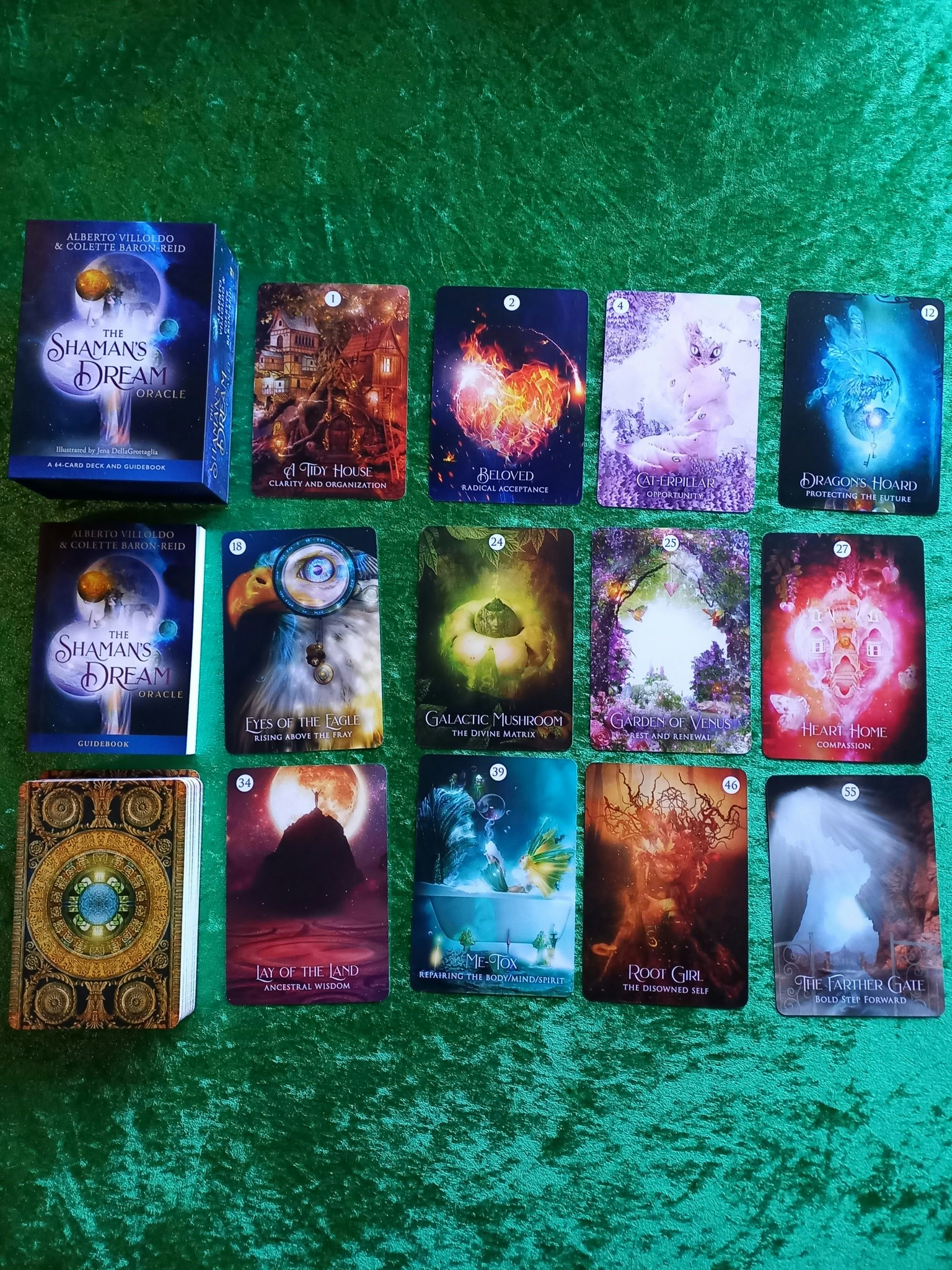 The Shaman's Dream  Oracle