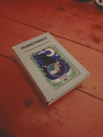 Hundtarot Svensk