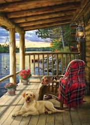 Cabin Porch (1000)