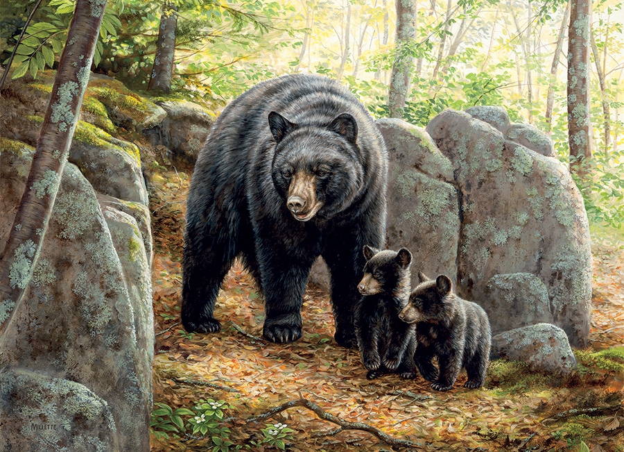 Mama Bear (1000)
