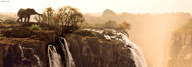 Ett pussel med vackert panorama motiv över en elefant som närmar sig kanten till de mäktiga Victoriafallen.