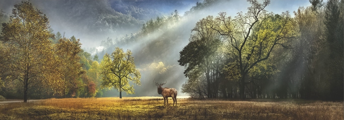 Pussel med ett magiskt landskap där en hjort står i mitten