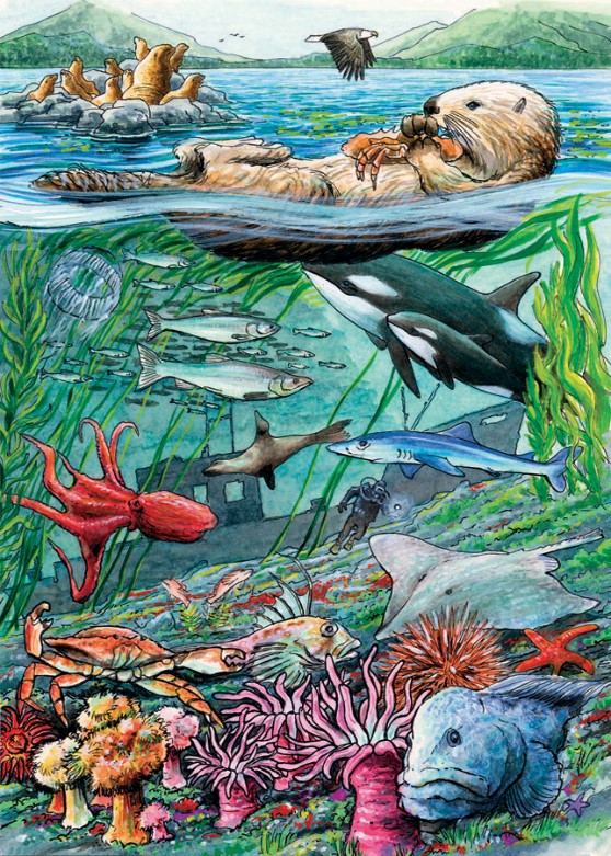 Barnpussel - Life In The Pacific Ocean, 35 Bitar Rampussel